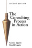 The Consulting Process in Action