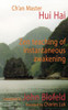 Zen Teaching of Instantaneous Awakening