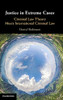 Justice in Extreme Cases: Criminal Law Theory Meets International Criminal Law