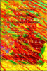 The Equivalence of Elementary Particle Theories and Computer Languages: Quantum Computers, Turing Machines, Standard Model, Superstring Theory, and a