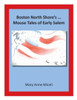 Boston North Shore's... Mouse Tales of Early Salem
