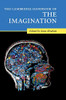 The Cambridge Handbook of the Imagination (Cambridge Handbooks in Psychology)