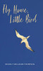 Fly Home, Little Bird