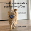 เวลาที่เฟอออออเฟค - บ๊อบ