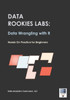 Data Rookies Labs Data Wrangling with R