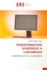 Transformation Numerique a Lubumbashi
