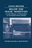 Below the Magic Mountain - A Social History of Tuberculosis in Twentieth Century Britain.