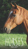 Horses 2021 Diary: Slim Pocket Calendar, Monthly Planner, Date Book, Organizer, Notepad