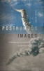Posthumous Images: Contemporary Art and Memory Politics in Post-Civil War Lebanon