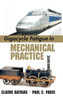 Gigacycle Fatigue in Mechanical Practice