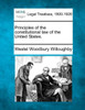 Principles of the constitutional law of the United States.