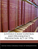 Juvenile Crime Control and Delinquency Prevention Act of 1996