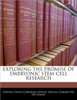 Exploring the Promise of Embryonic Stem Cell Research