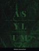 Asylum: Volume 2: Afro-American Poetry for the Soul