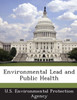 Environmental Lead and Public Health