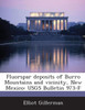 Fluorspar deposits of Burro Mountains and vicinity, New Mexico: USGS Bulletin 973-F