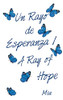 Un Rayo De Esperanza / A Ray of Hope (Spanish Edition)
