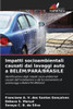 Impatti socioambientali causati dai lavaggi auto a BELÉM/PARÁ/BRASILE