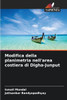 Modifica della planimetria nell'area costiera di Digha-Junput