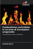 Combustione controllata in un'area di Eucalyptus urograndis