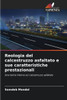 Reologia del calcestruzzo asfaltato e sue caratteristiche prestazionali