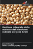 Gestione integrata della malattia del marciume radicale del cece Gram