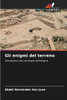 Gli enigmi del terreno
