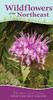 Wildflowers of the Northeast: Your Way to Easily Identify Wildflowers (Adventure Quick Guides)