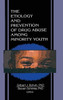 The Etiology and Prevention of Drug Abuse Among Minority Youth