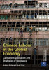 Chinese Labour in the Global Economy: Capitalist Exploitation and Strategies of Resistance
