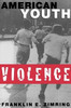 American Youth Violence