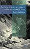 Carl Schmitt and the Politics of Hostility, Violence and Terror