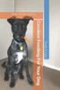 Creative Feeding For Your Dog: Canine Enrichment Ideas