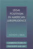 Legal Positivism in American Jurisprudence