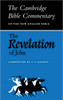 Revelation to John