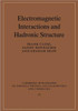Electromagnetic Interactions and Hadronic Structure