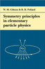 Symmetry Principles Particle Physics