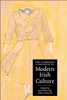The Cambridge Companion to Modern Irish Culture