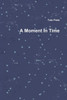A Moment In Time