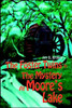 The Foster Twins In The Mystery At Moore's Lake