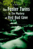 The Foster Twins In The Mystery at Red Bud Cove