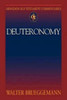 Abingdon Old Testament Commentaries: Deuteronomy