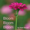 Bloom, Bloom, Bloom