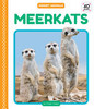 Meerkats (Desert Animals)