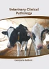 Veterinary Clinical Pathology