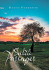 Subtle Passages - 9781664150706