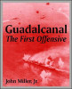 Guadalcanal: The First Offensive