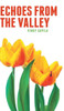Echoes from the Valley