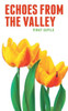 Echoes from the Valley