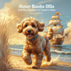 Outer Banks Ollie and the Mystery of Teach's Hole
